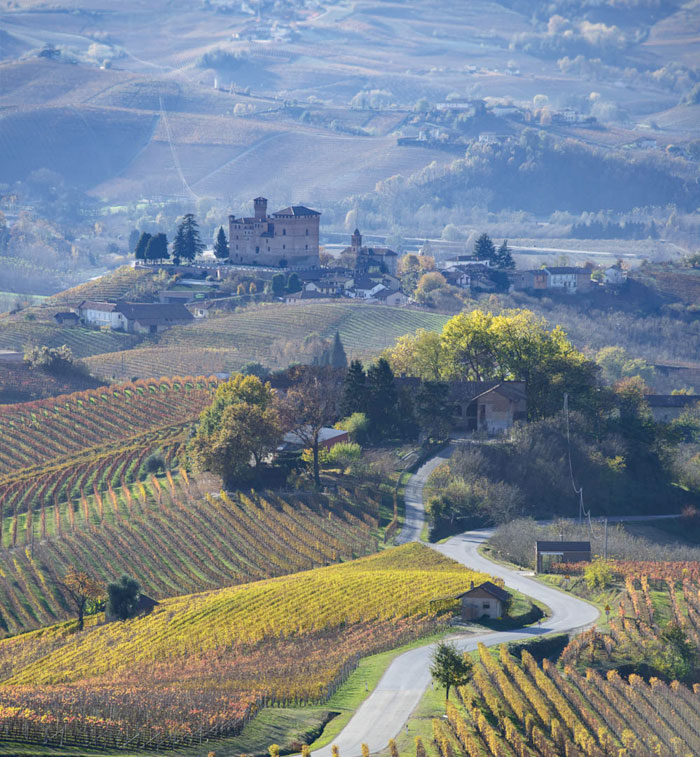 Castello di Grinzane Cavour amid the vineyards