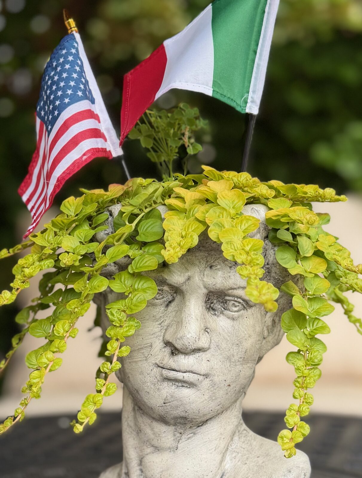 David planter with American and Italian flags
